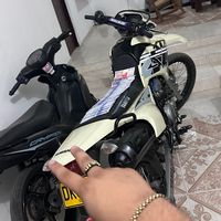 eduar_250h