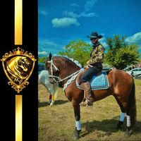anibalcas_