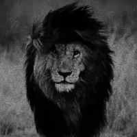 original sound - feroz_khan_fk9