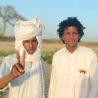 الصوت الأصلي