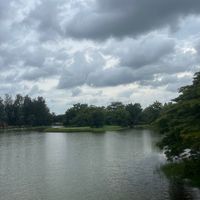 worldfor_y