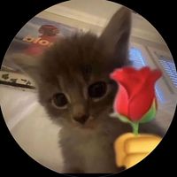 original sound - Cheat Sothy