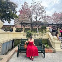 kanchanlimbu37
