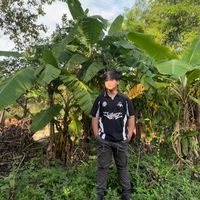 original sound - PANG