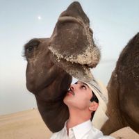 الصوت الأصلي