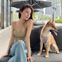 原声 - 搞笑不断惊喜连连