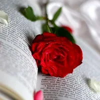 original sound - forryou47