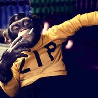 เสียงต้นฉบับ - COWBOY 🤠