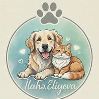 sahibsiz_canlara_destek_