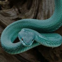 editor.editor.editor