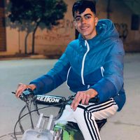 naserdindaldoul