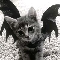 suara asli - Miraa!!??♡♡