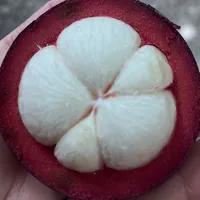 original sound - miniz.2