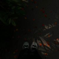 fxxn.photo