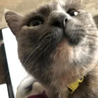 original sound - dani_ela_48