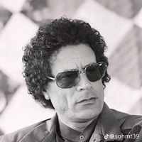 الصوت الأصلي
