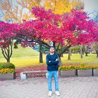 hassanchoudary50