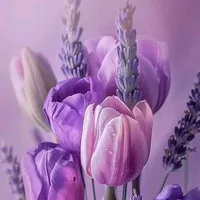 original sound - prabhamrit2