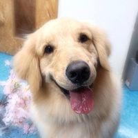 masa_hiroo1