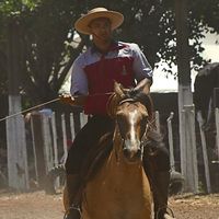 renancorreia5770