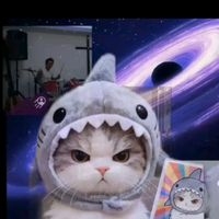 原聲 - 罗刹猫市