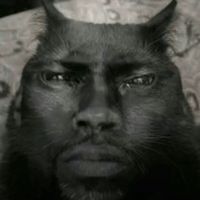 locally_loved_rmz450