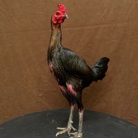 phetw2541