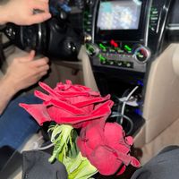 zoiz12345