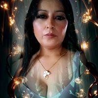 norma8296