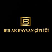bulak_besicilik_75