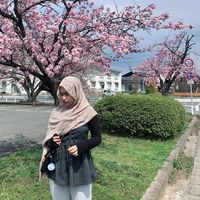 hawimaww6