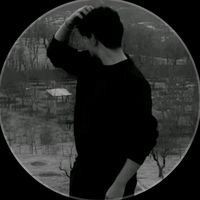 313_mxx