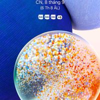 nhạc nền - HTT_YQH