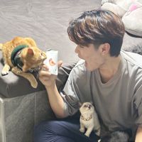 phai.love.cats