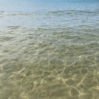オリジナル楽曲 - えいすけ社長