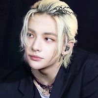 straykidsmylovesfhhh