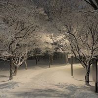 오리지널 사운드 - 모음