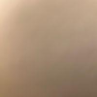 sasha_23e