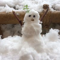 Bu kız kendine acımaz artık