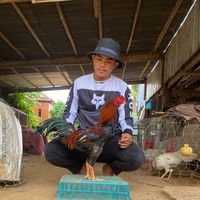 bonglong0884685030