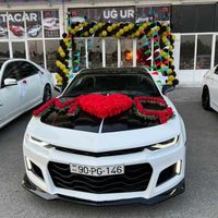 rentacar_berde_