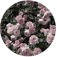 オリジナル楽曲 - さな