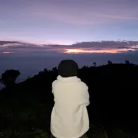 original sound - pptstrr