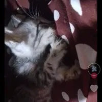 original sound - kai24f