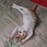 original sound - cuz_im_real