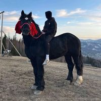 оригінальний звук