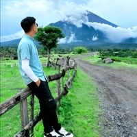 chinosad_t