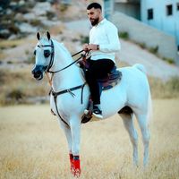 ghassanalatrash