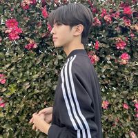 nhạc nền - đỗ đại học đổi tên