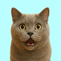 オリジナル楽曲 - カズ